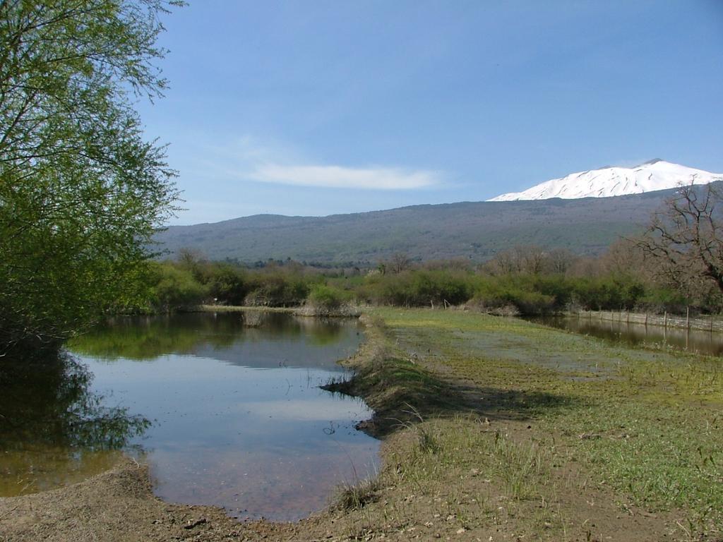 Animosa Suites Castiglione De Sicilia Exteriér fotografie